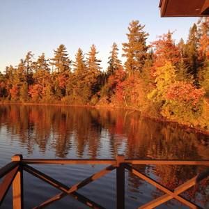 Meet your Posher, Vicki